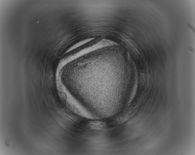 X0000091210557200708301430