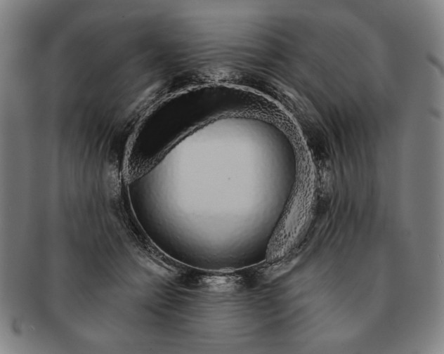 X0000091210558200708301430