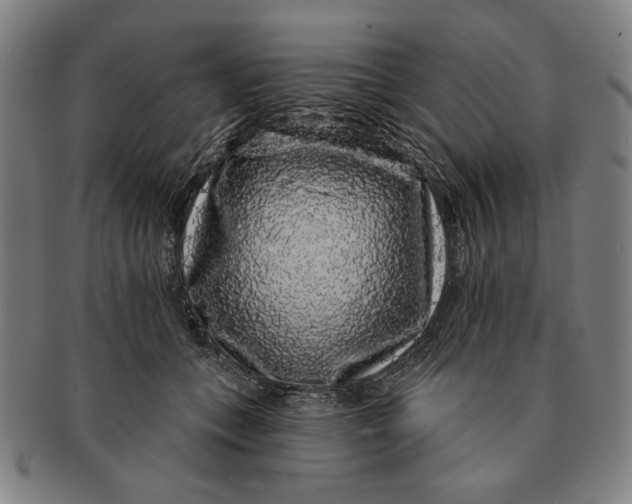 X0000091210559200708301430