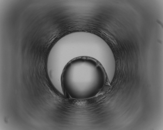 X0000091210560200708301430