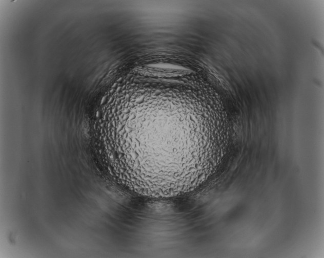 X0000091210561200708301430