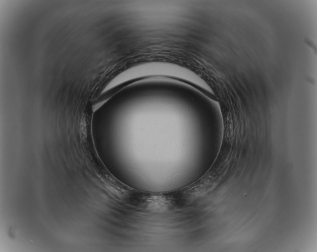 X0000091210562200708301430