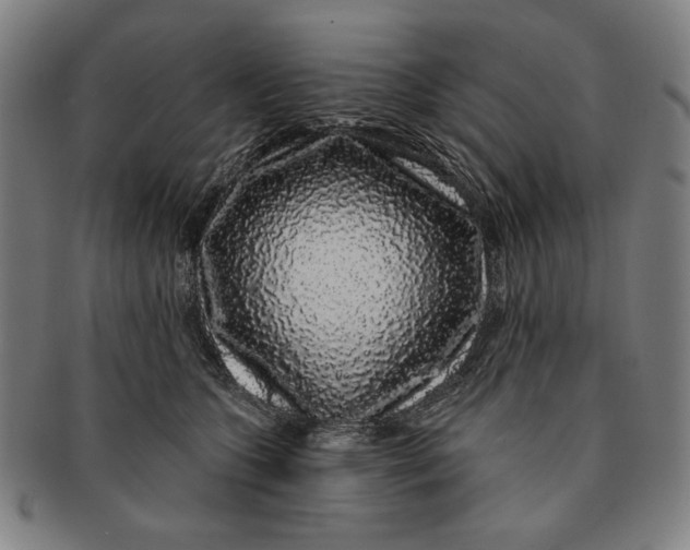 X0000091210563200708301430