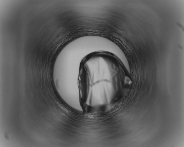 X0000091210564200708301430