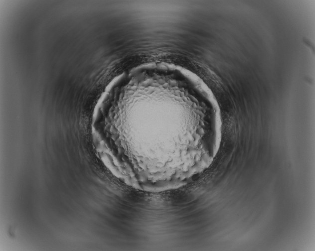 X0000091210565200708301430