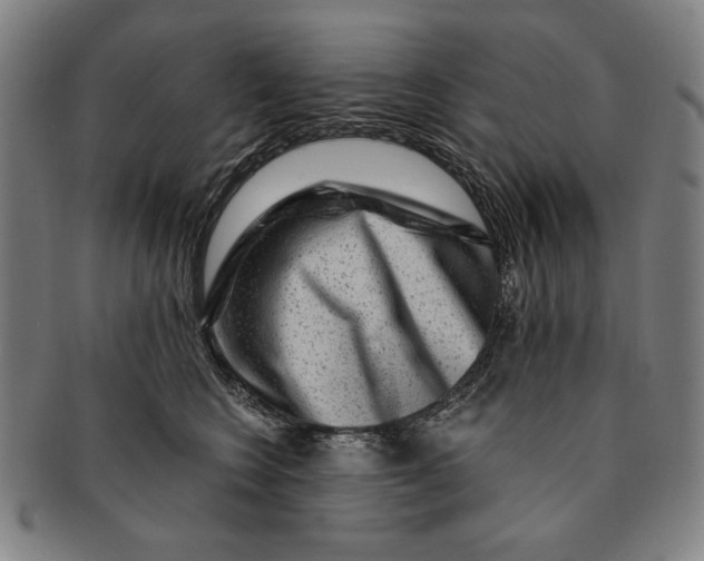 X0000091210566200708301430