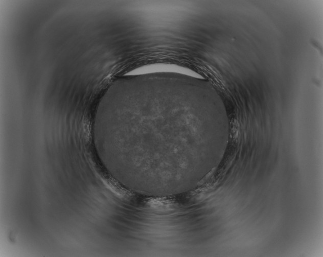 X0000091210568200708301430