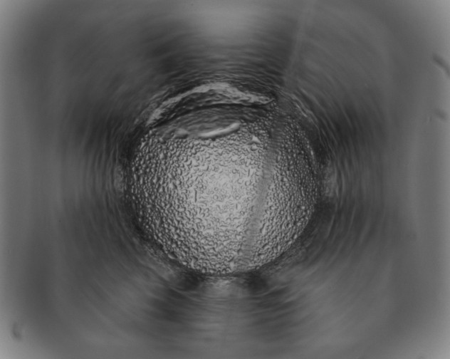 X0000091210569200708301430