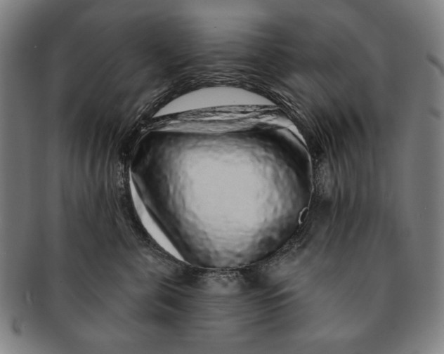 X0000091210571200708301430