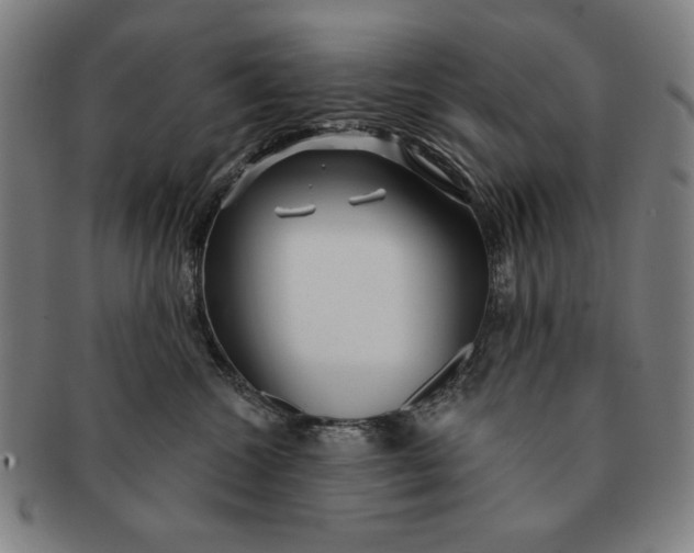 X0000091210572200708301430