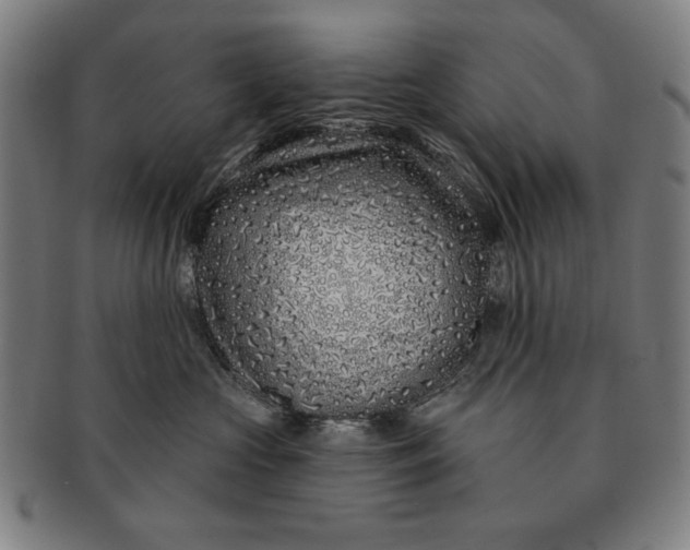 X0000091210573200708301431