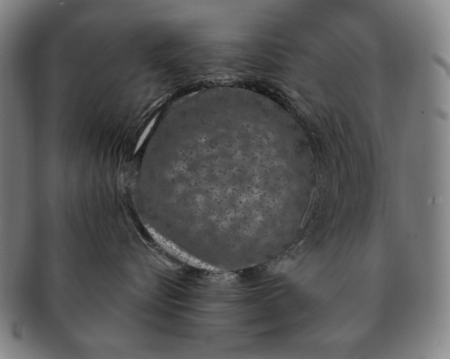 X0000091210576200708301431