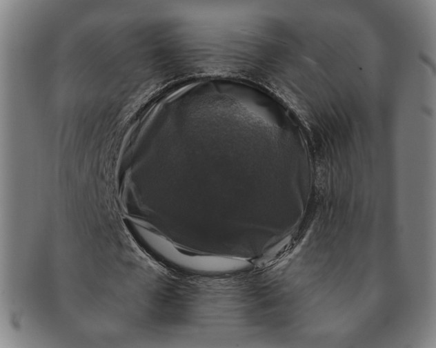 X0000091210577200708301430