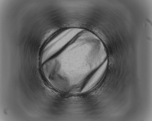 X0000091210578200708301430