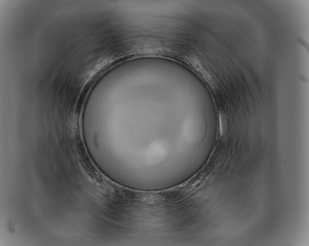 X0000091210579200708301430