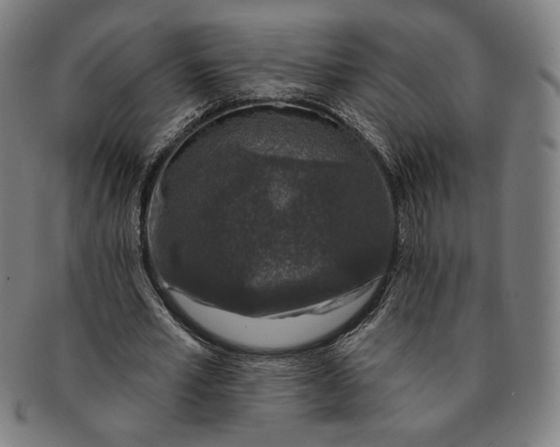 X0000091210581200708301430