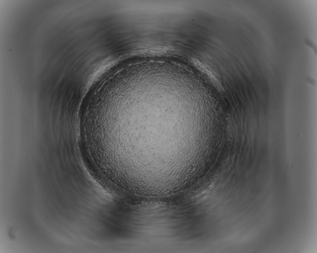 X0000091210582200708301430