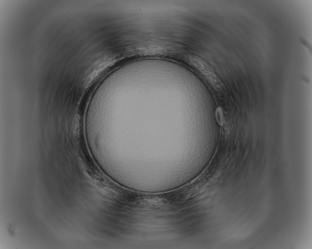 X0000091210583200708301430