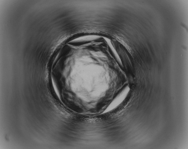 X0000091210584200708301430