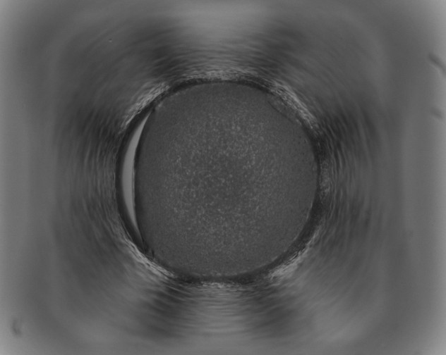 X0000091210585200708301430