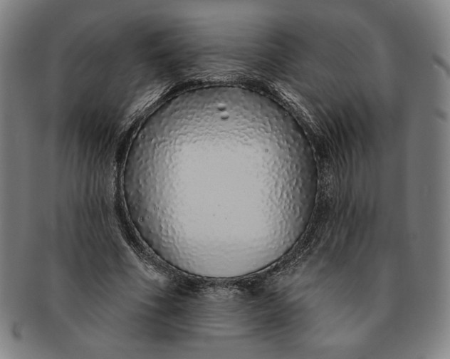 X0000091210586200708301430