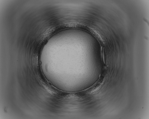 X0000091210589200708301430