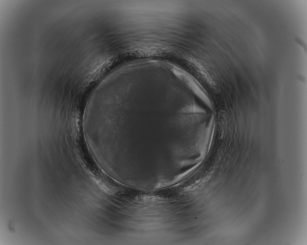 X0000091210590200708301430