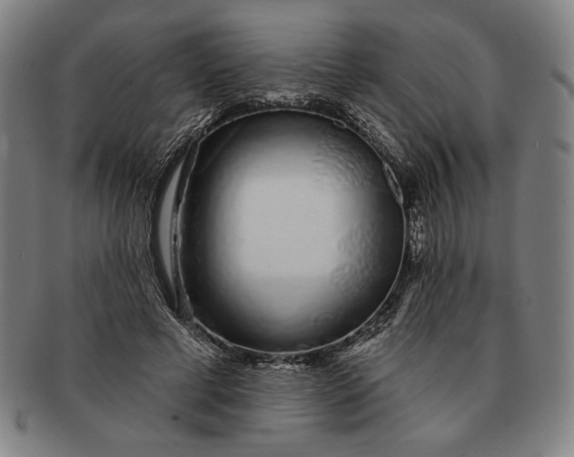 X0000091210593200708301430