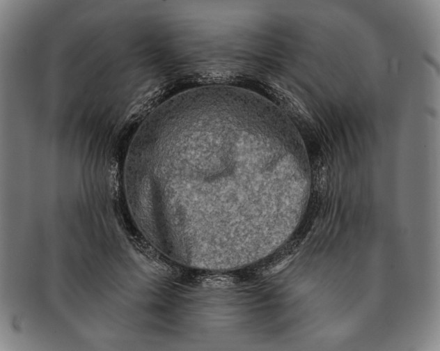 X0000091210599200708301430