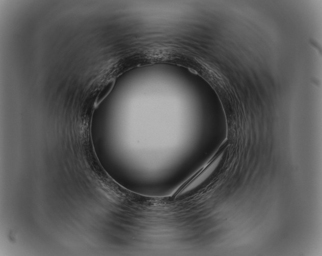 X0000091210601200708301430