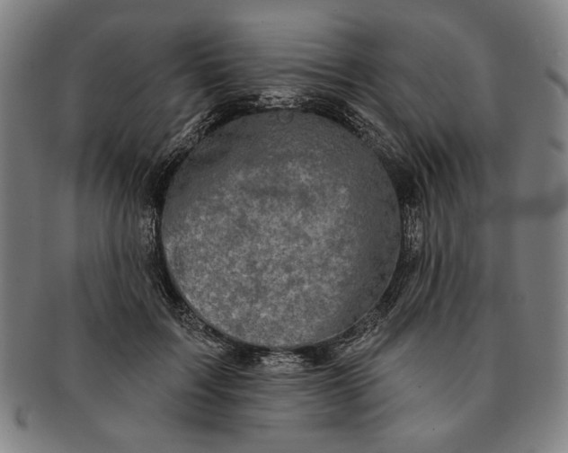 X0000091210603200708301430