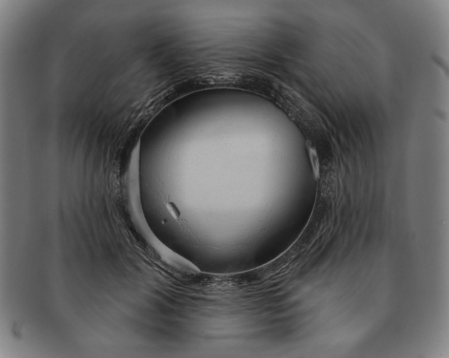 X0000091210604200708301430