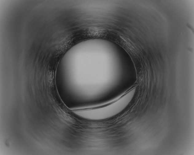 X0000091210605200708301430