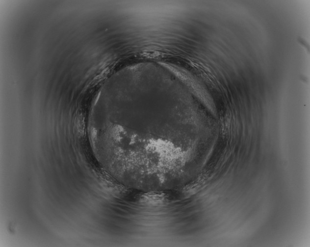 X0000091210606200708301429