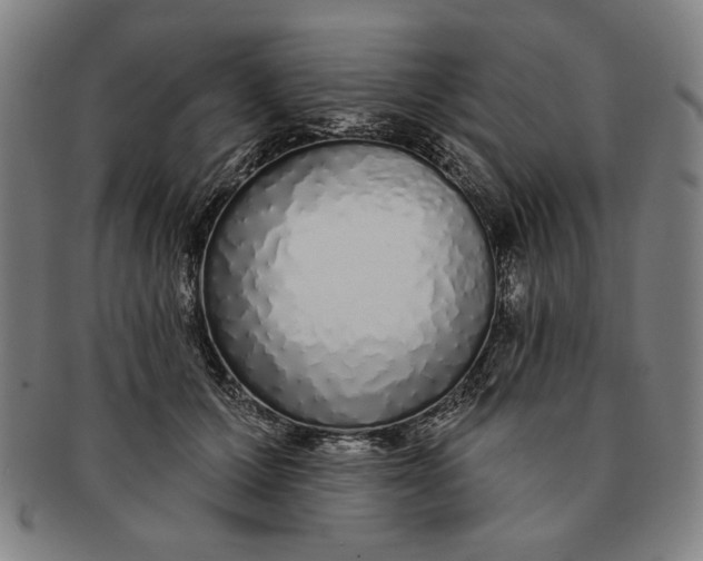 X0000091210607200708301429