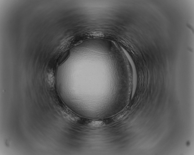 X0000091210609200708301429