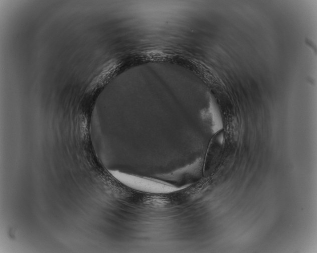 X0000091210610200708301429