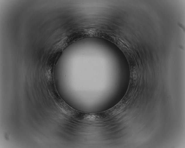 X0000091210611200708301429