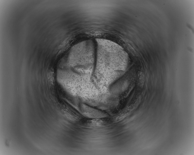 X0000091210612200708301429