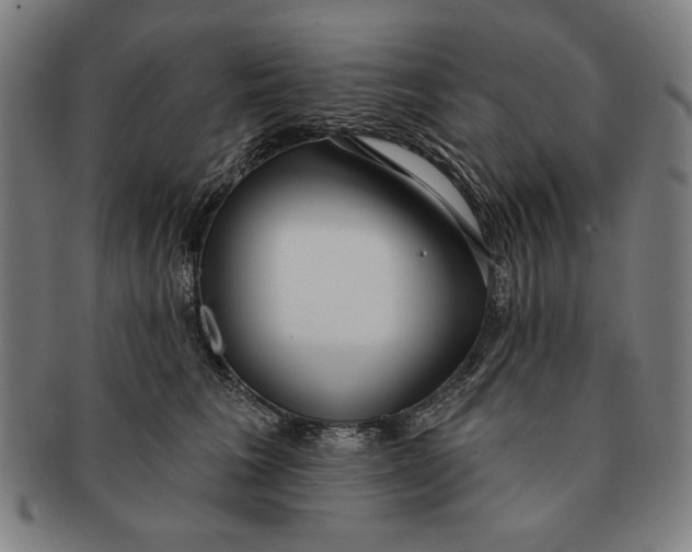 X0000091210613200708301429