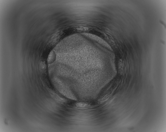 X0000091210614200708301429