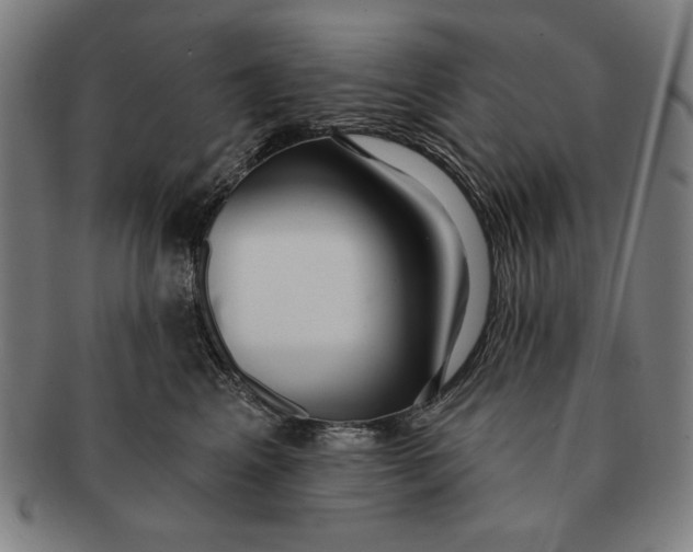 X0000091210617200708301429