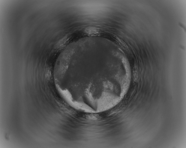 X0000091210618200708301429