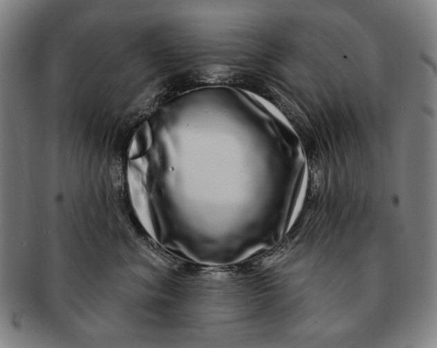 X0000091210620200708301429