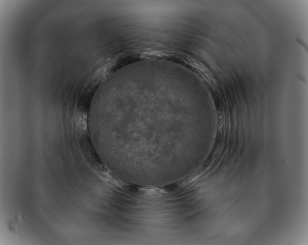 X0000091210621200708301429