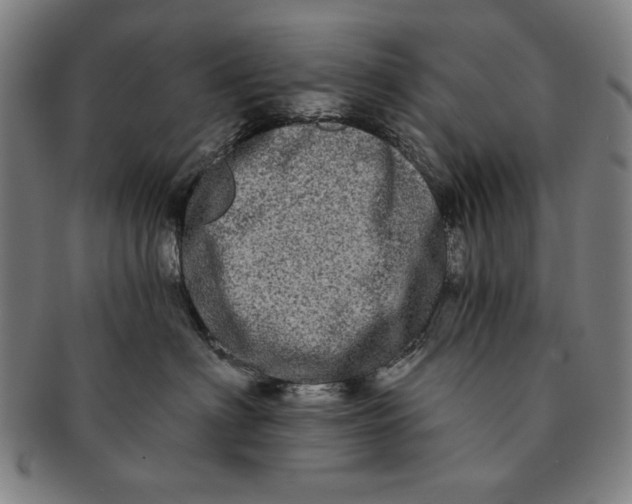 X0000091210622200708301429