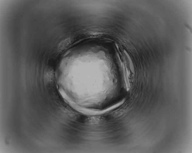 X0000091210623200708301429