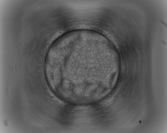 X0000091210625200708301429