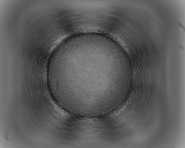 X0000091210629200708301429