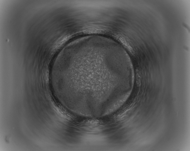 X0000091210631200708301429